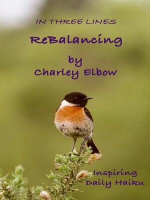 cover image of ReBalancing